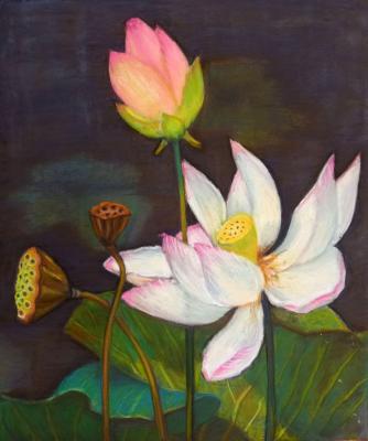 ������. ������� ����