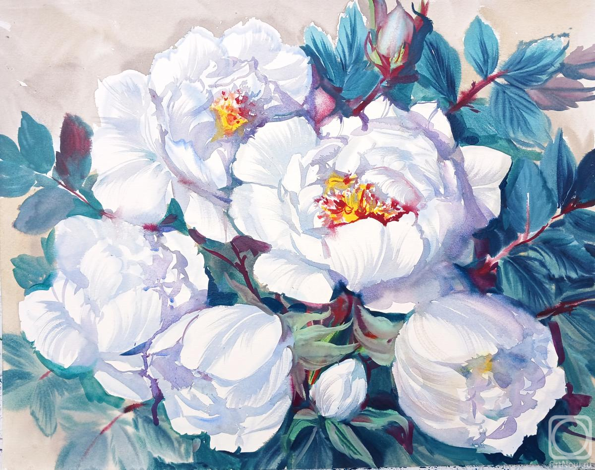 �������. ���������� ���������. ����� ����