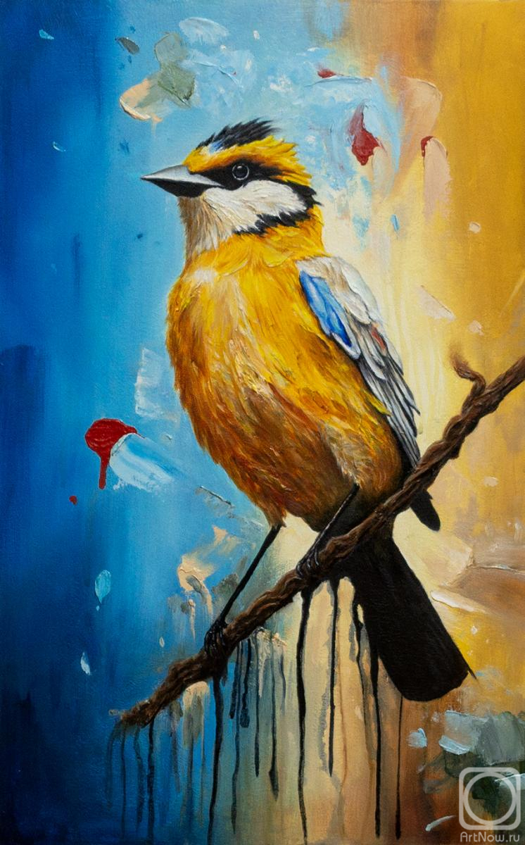 �������. �������� ����. ϸ����� ����