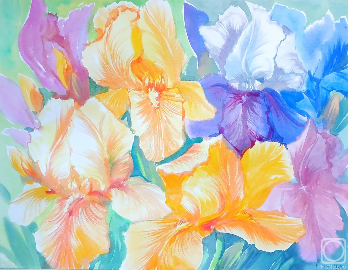 �������. ���������� ���������. ����� �����