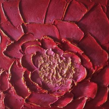 ���� ����