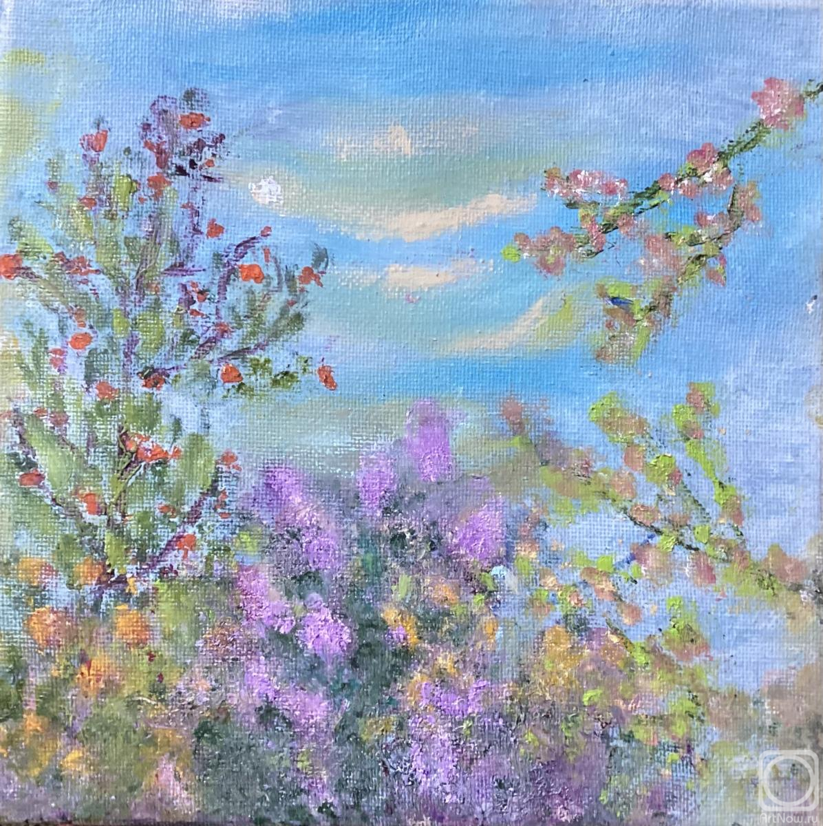 �������. ������ ����. ����� ������ �������