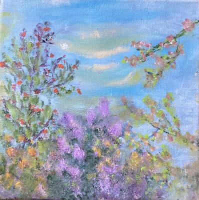 ������� ������ ������ �������