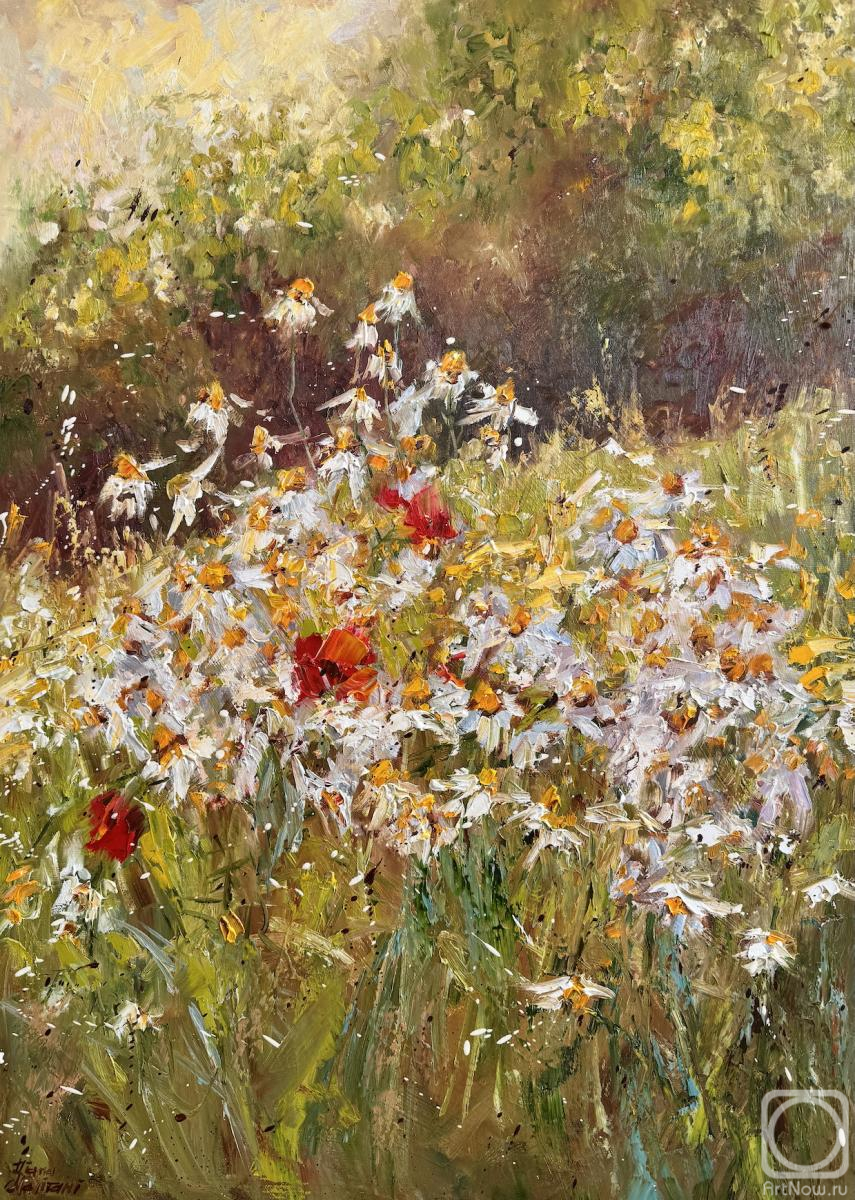 ������� ������ �� ������. �������� �����. ����