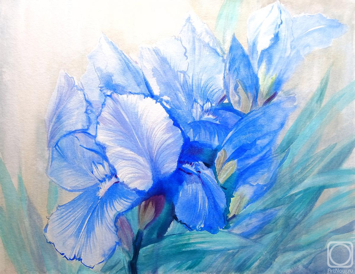 �������. ���������� ���������. ����� �����