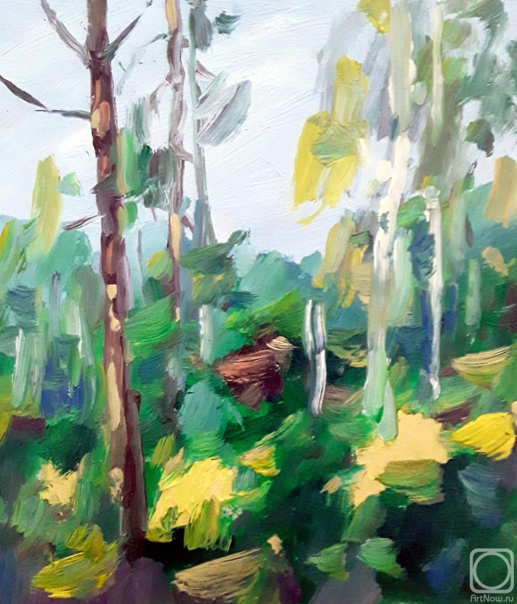 �������. ����� ���������. ����, �� ����