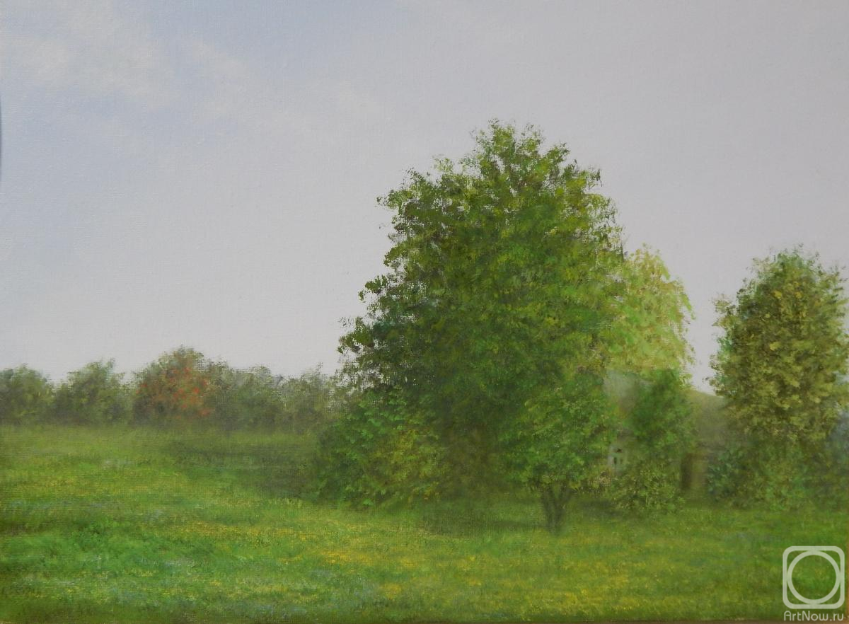 ������� ������ �� ������. ������ �������. � ���� � �������