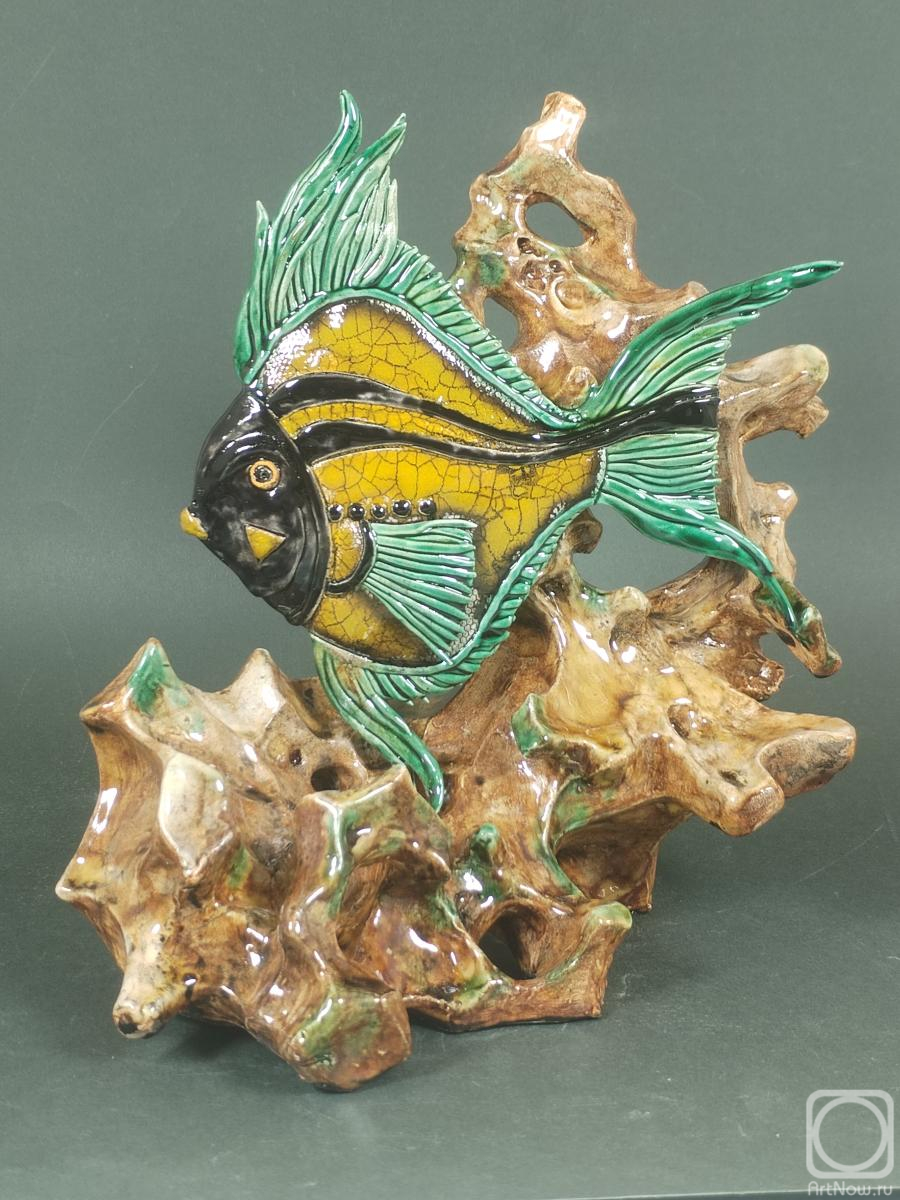 ������ �������. ����������� �����