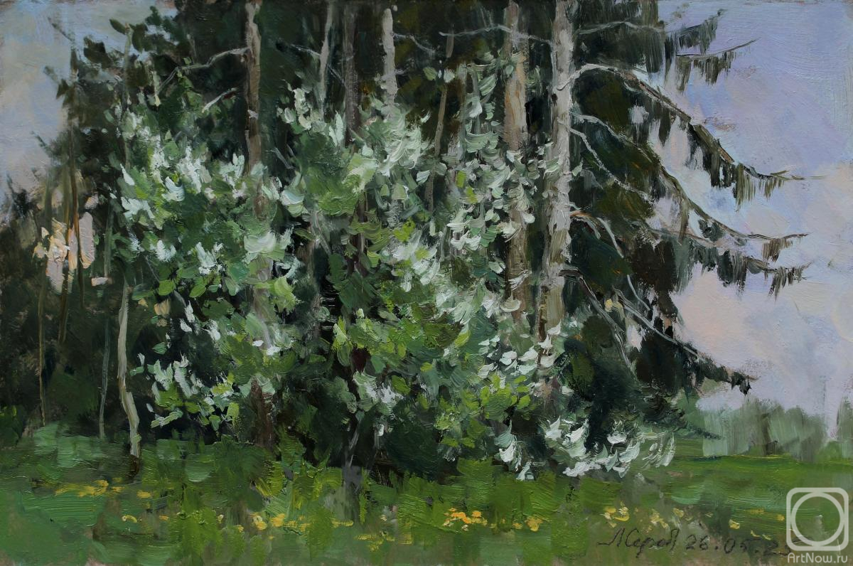 �������. �������������� ������. �������� � ������ ����