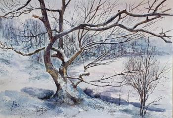 ���������. �������. �������� �������