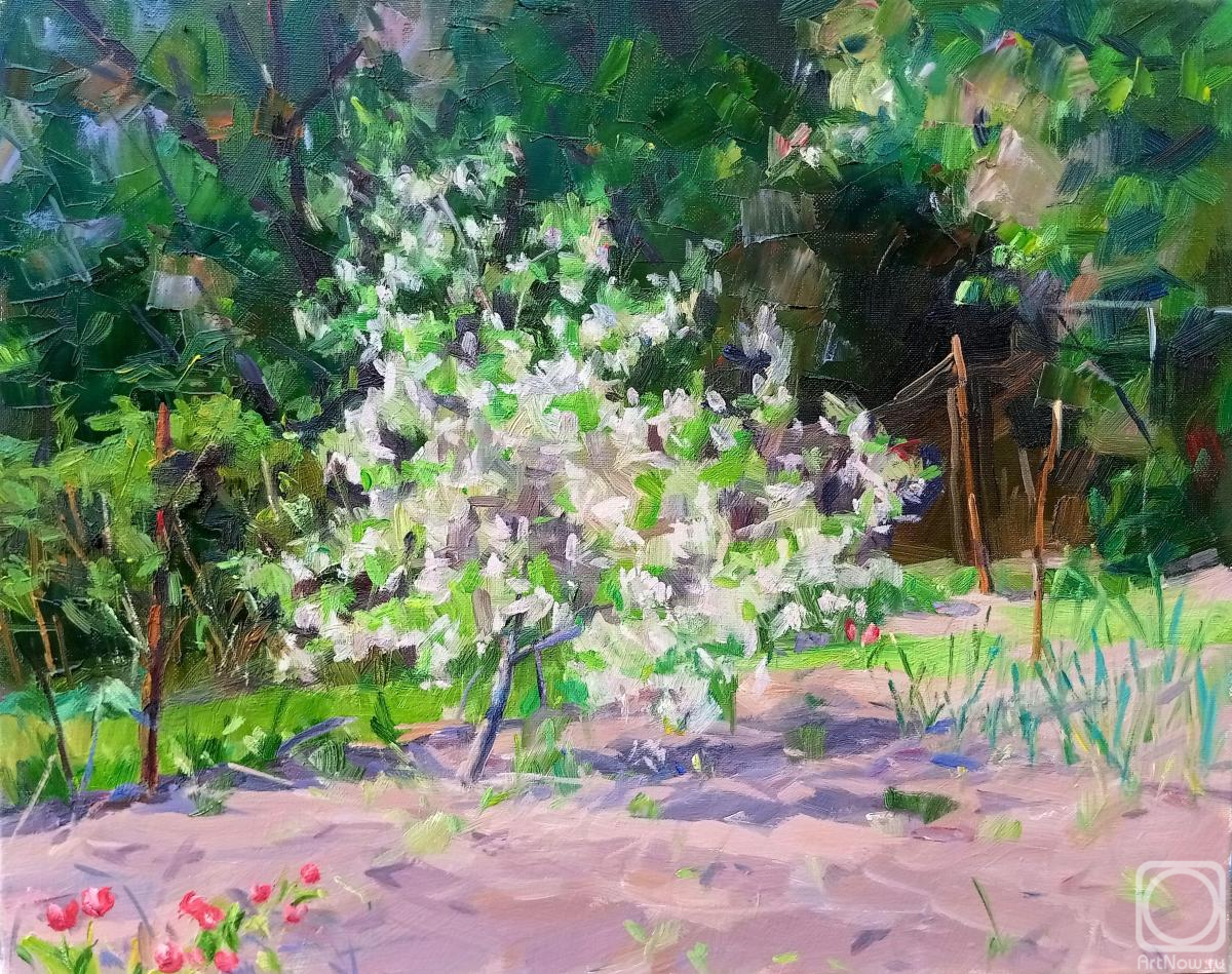 ������� ������ �� ������. ������� ��������. ������ ��������