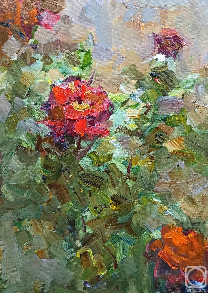 ������� ������ �� ������. ������ ����. ����