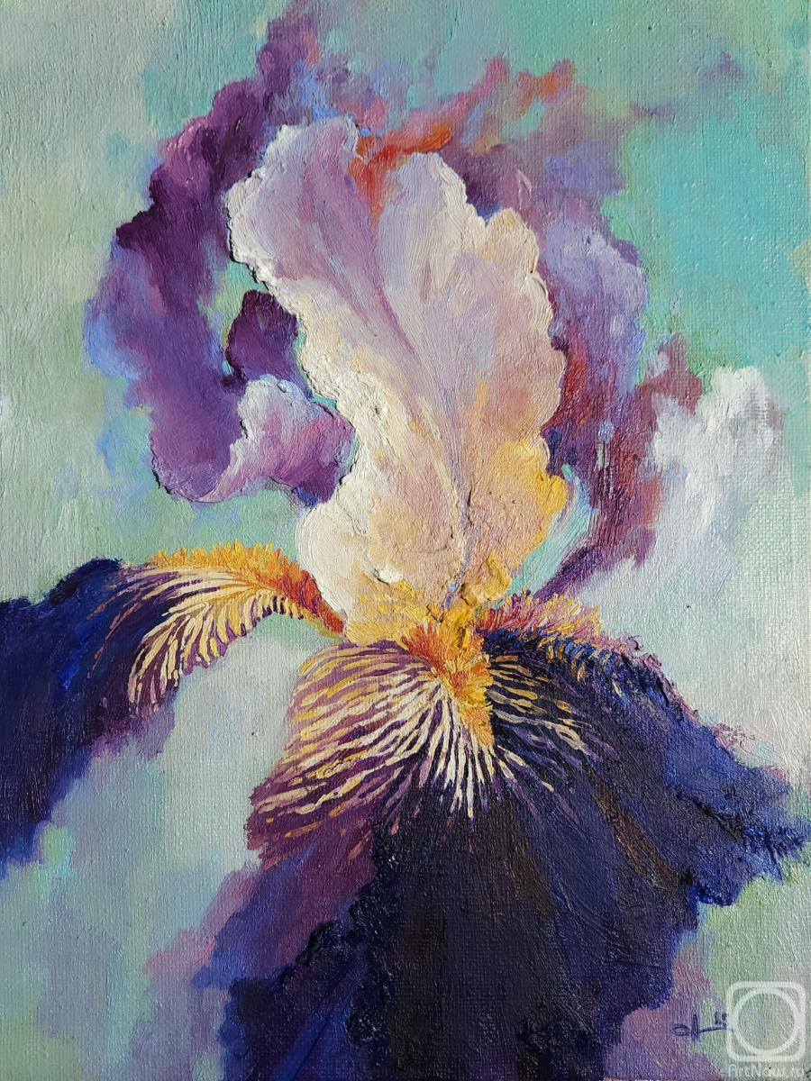 ������� ������ �� ������. ������� ����. ��������