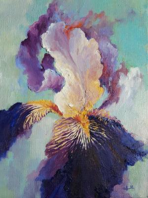 ��������