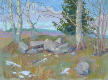 ������� ���������� ����