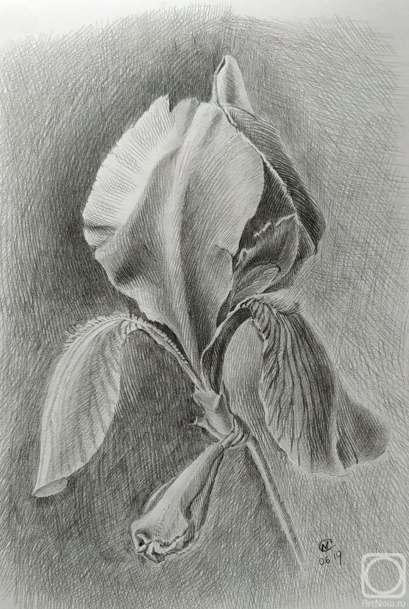 �������. ����������� ������. ����