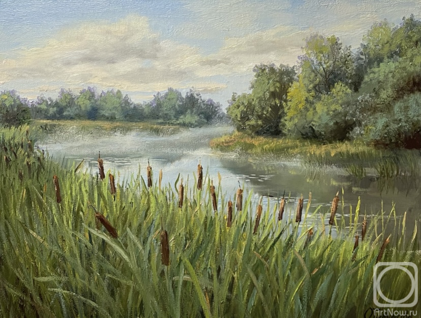 ������� ������ �� ������. �������� �����. ����� �����