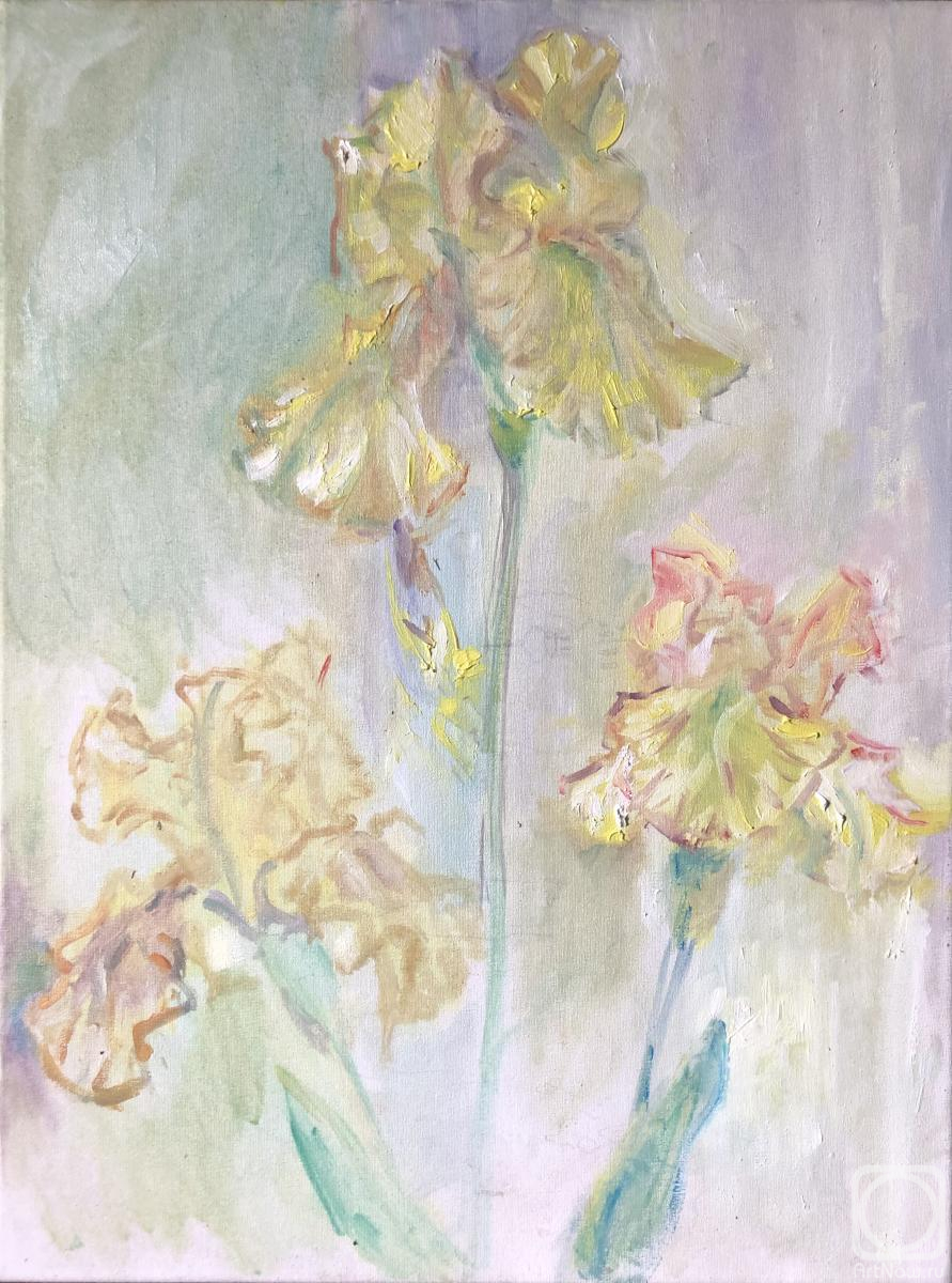 ������� ������ �� ������. ����� ������. ��� ���������� �����