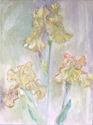 ������� ���� ���������� �����