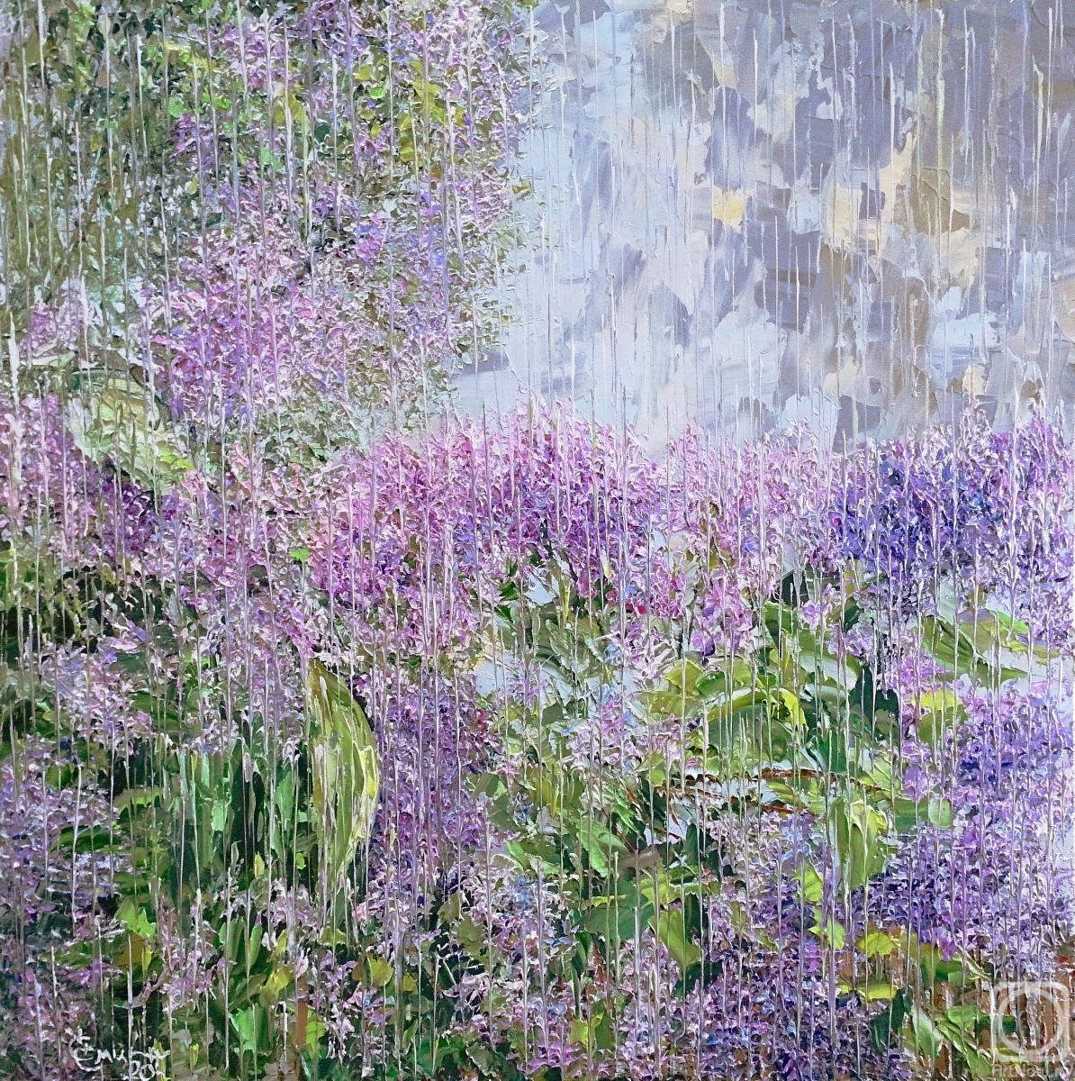 ������� ������ �� ������. ������� ������. ������ ��� �����