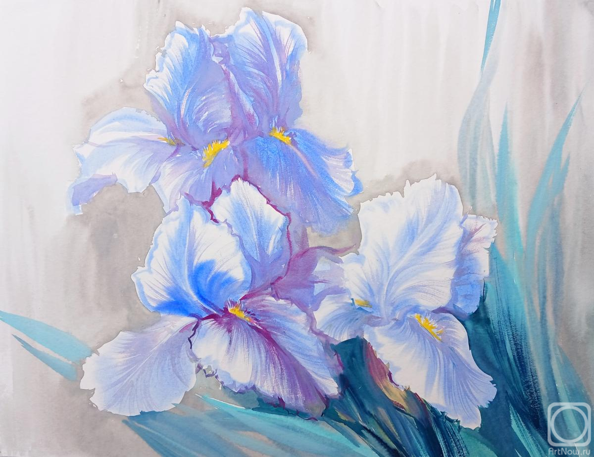 �������. ���������� ���������. ��������