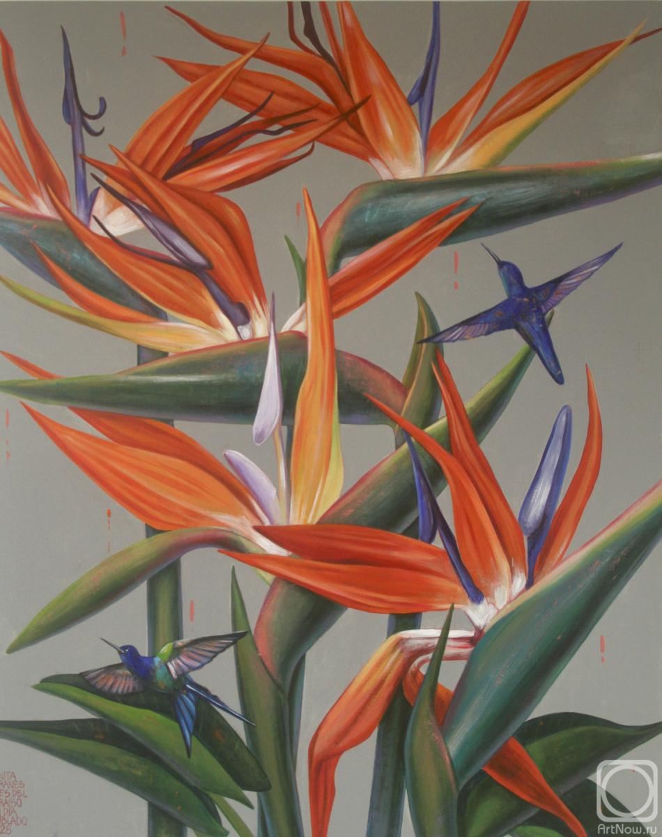 Veranes Tatiana. Untitled