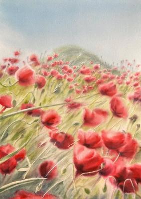 Poppies. Yastrebkova Alyona