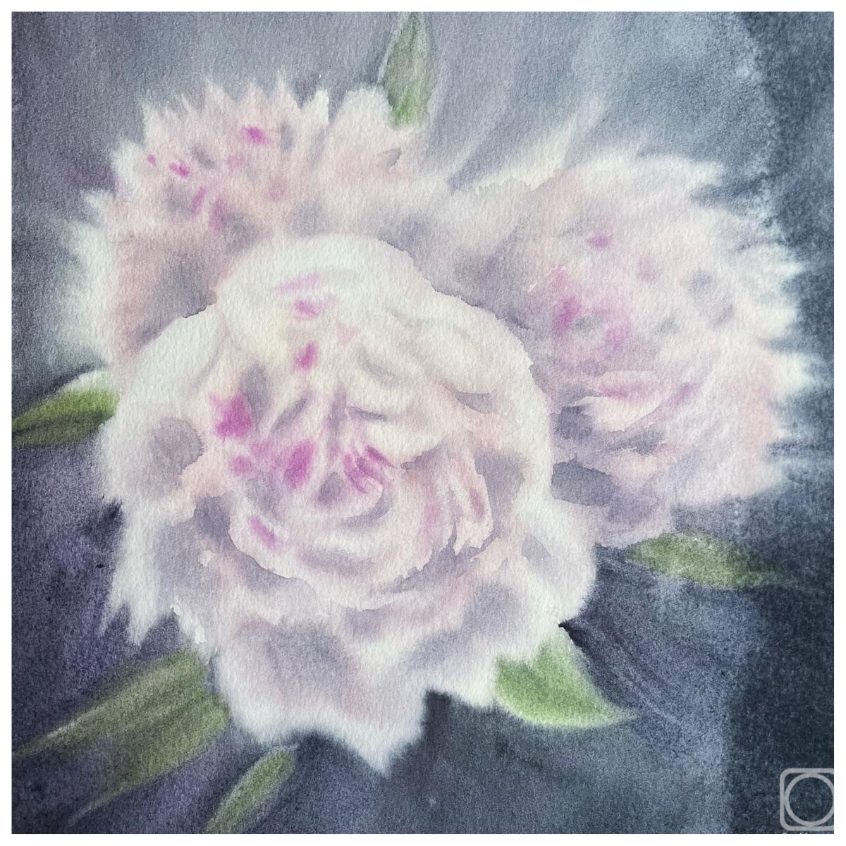 �������. ���������� ����. �����