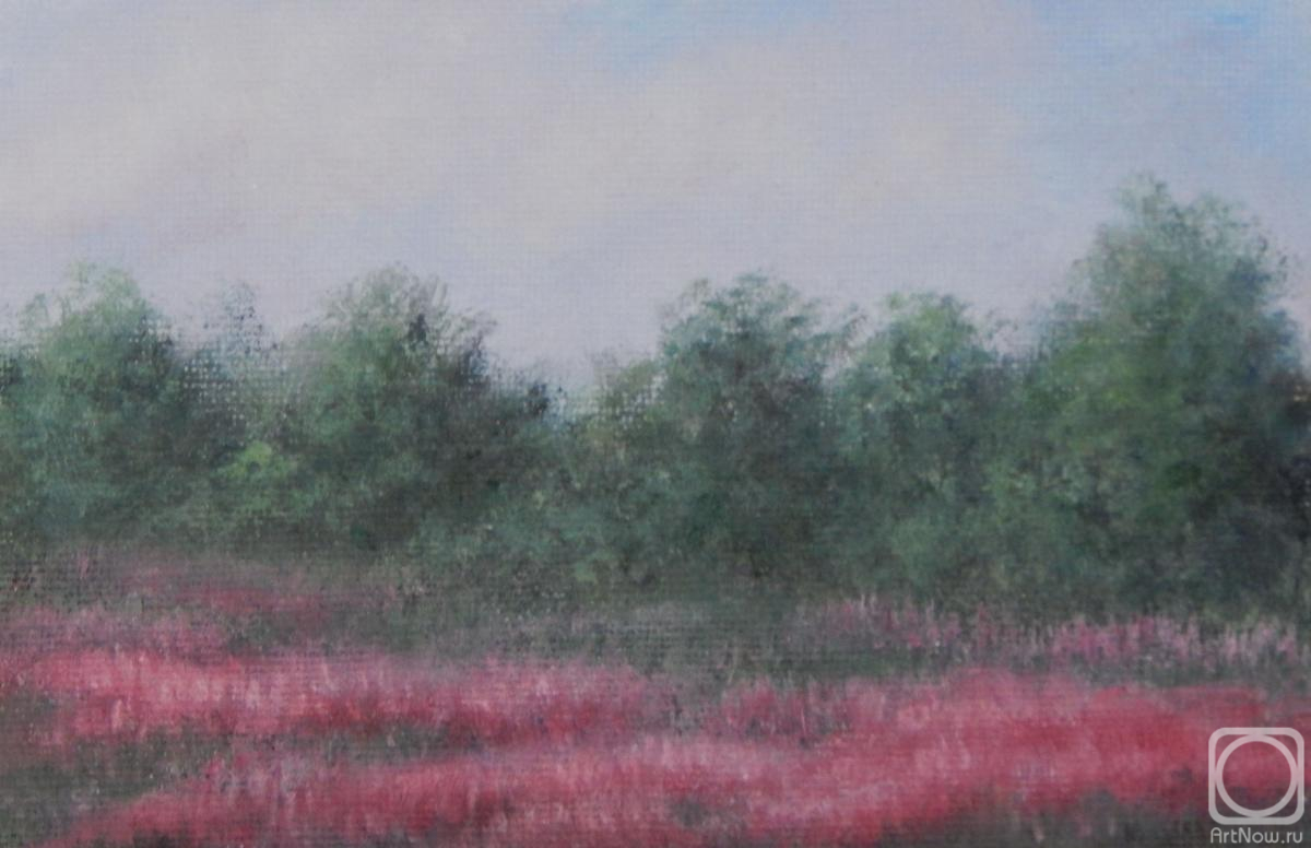 ������� ������ �� ������. ������ �������. ���� ������� �������