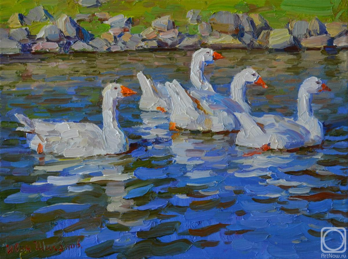 ������� ������ �� ������. ������� ����. �������� ����