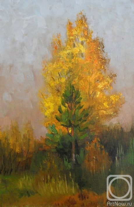 ������� ������ �� ������. ������ ���������. ������� �����