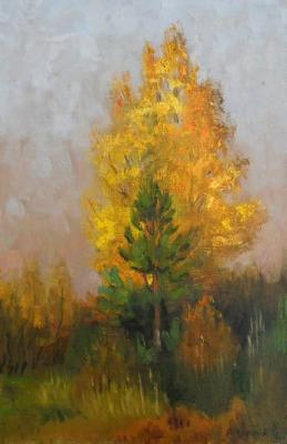 ������� �������� �����