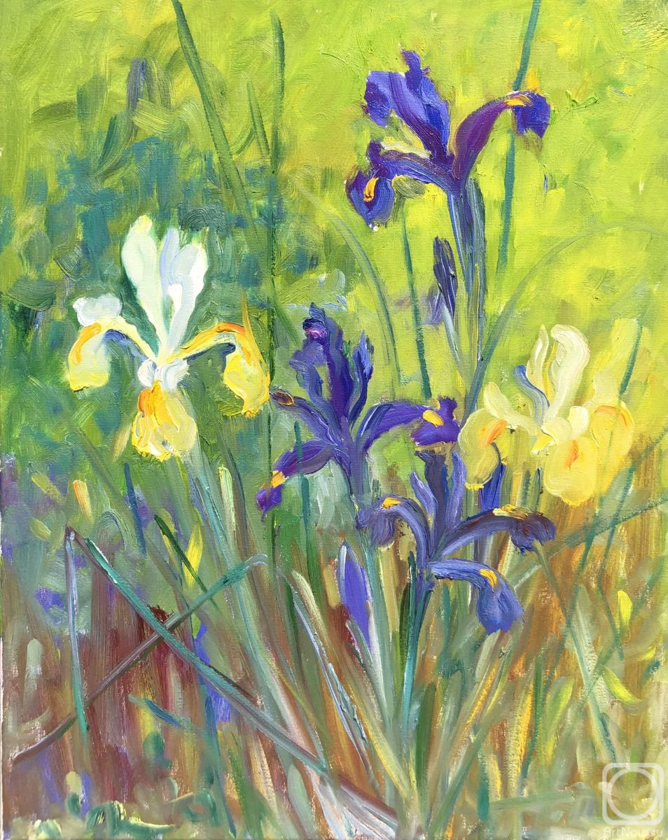 ������� ������ �� ������. ������ �����. �����