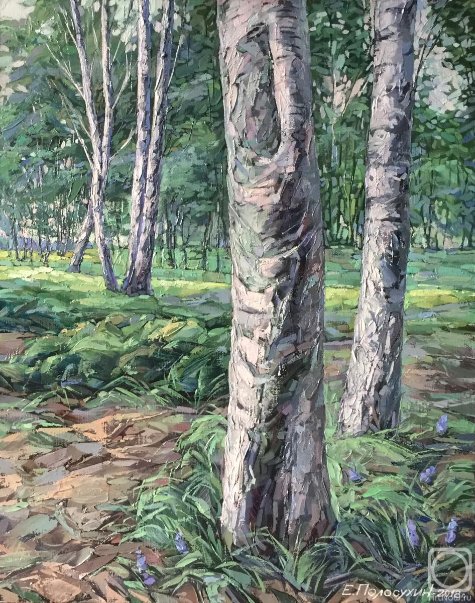 ������� ������ �� ������. ��������� �������. ������ � �����