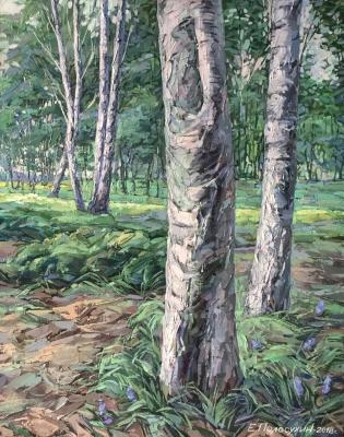 ������ � �����. ��������� �������