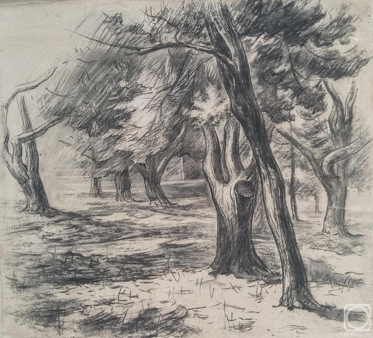 �������. ���������� ������. � �������� ����