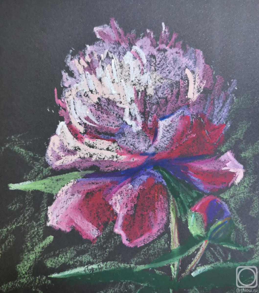 �������. ��������� ����. ���� �� ������ ����