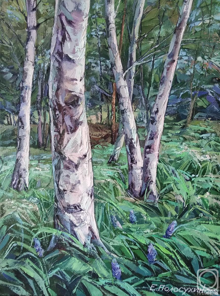 ������� ������ �� ������. ��������� �������. ������ ������