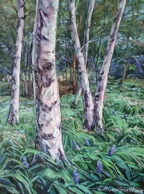 ������ ������. ��������� �������