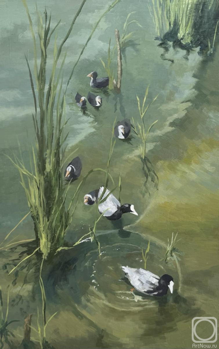 �������. ������� �����. ������ ������. ����