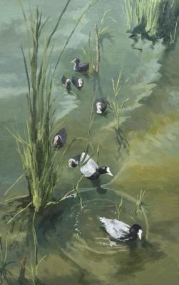 Duck's nest. June. Petrova Alina