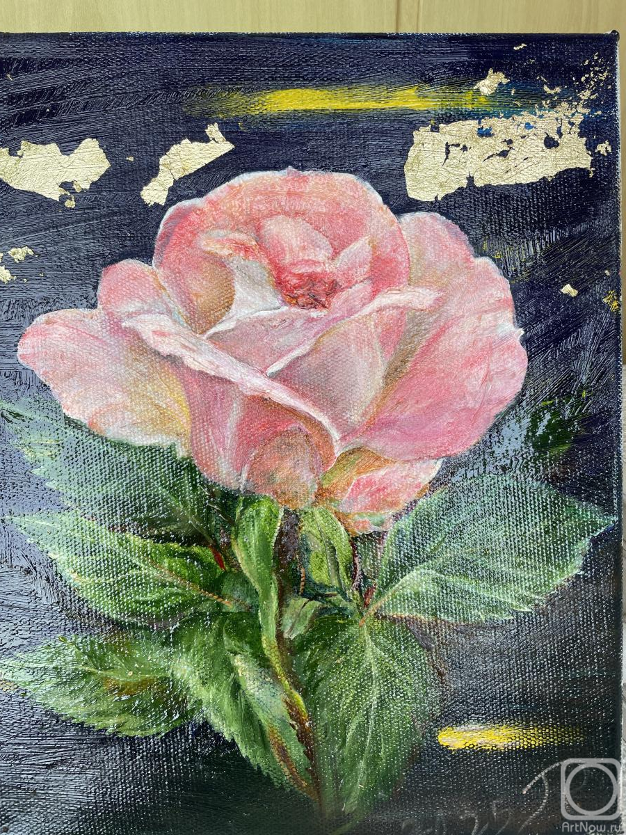 ������� ������ �� ������. ���������� �������. ���� � �������