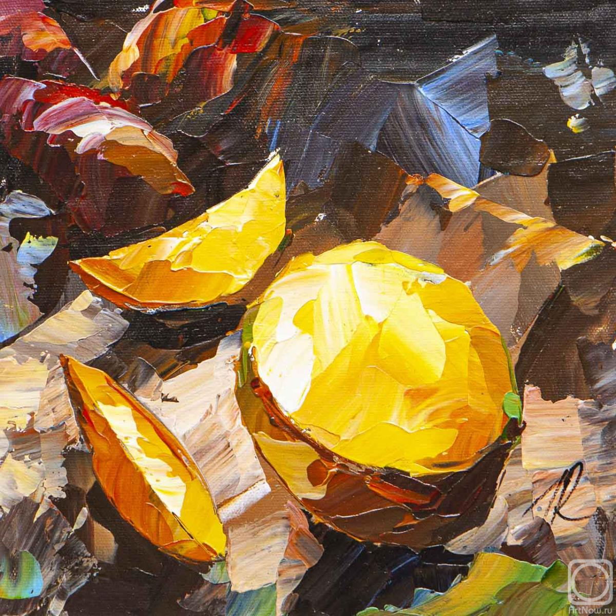 Rodries Jose. Mango. Sunny Sweetness