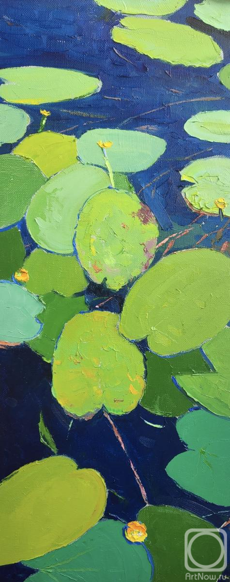 ������� ������ �� ������. ���������� �������. ��������