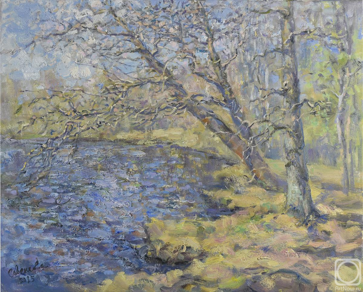 Savenkova Natalya. Spring Zhdanovskoye Lake