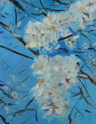 ������� ����� � �����