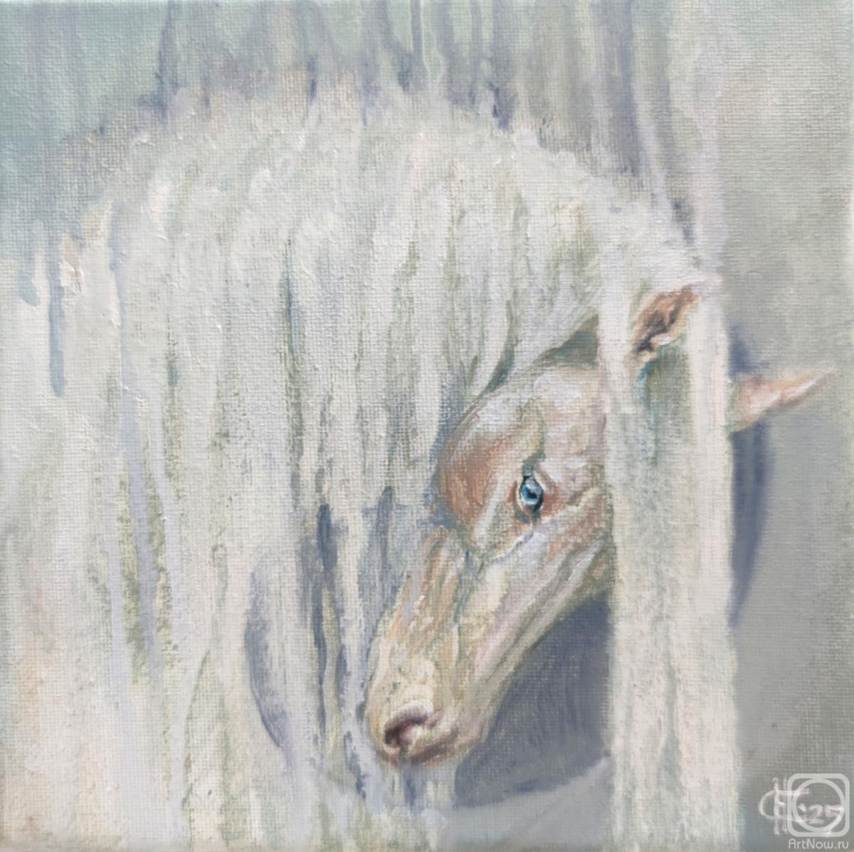 ������� ������ �� ������. ������ �������. �����. ������