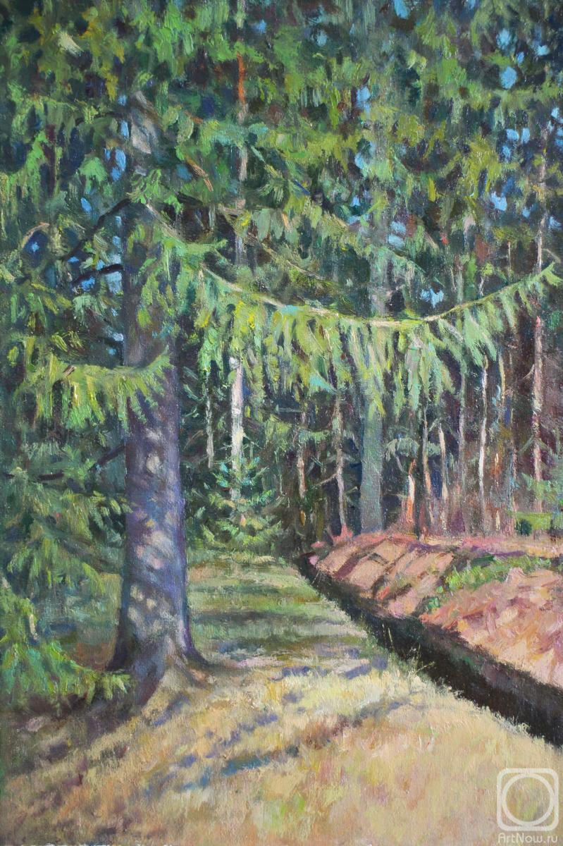 ������� ������ �� ������. ���������� ����. �������� ����