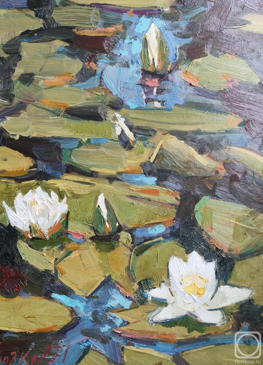 �������. ������� �������. ������� �����