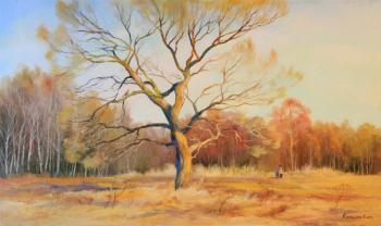 ���������� ���� 2008 ���. �������� �����